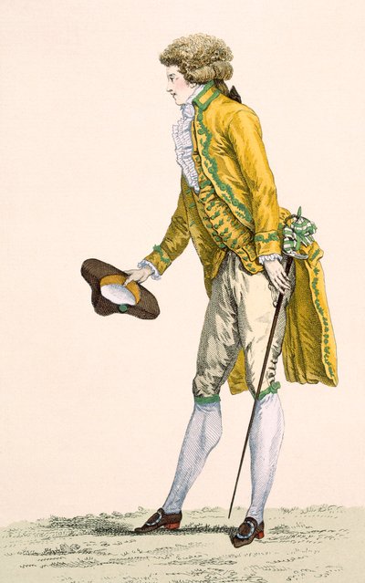 A young man wearing an embroidered jacket and waistcoat, engraved by Le Beau, plate no.253 from 